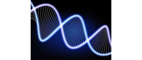 我国启动中华基因组精标准计划 发力国家基因科学基准