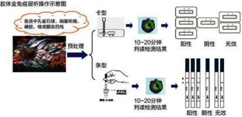 【独家】白话胶体金系列——第二话<标记>中篇