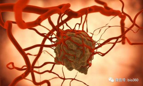 Cell：对抗癌症，并不仅仅只是肿瘤免疫细胞的孤军奋战！