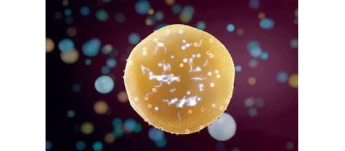 ACS Nano：科学家利用来自尿液的生物标志物进行早期癌症筛查