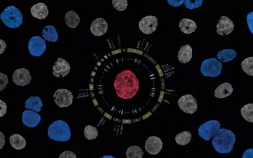 Science：单细胞测序助力细分肿瘤亚型