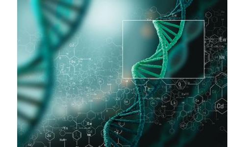 【体外诊断系列2】之分子诊断法规