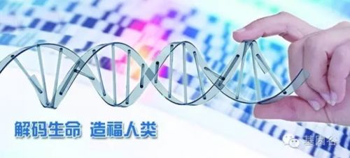 精准医疗—王者中国，复合增长率为20%～25%