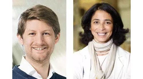 Cell：高精度前所未有！肿瘤微环境免疫细胞详细分型解析