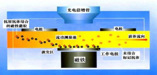 体外诊断迅速发展 化学发光制剂成最佳投资标的