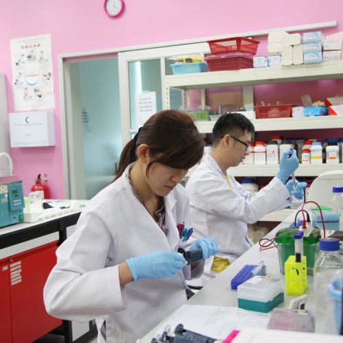 分子生物学实验室需要的仪器配置清单