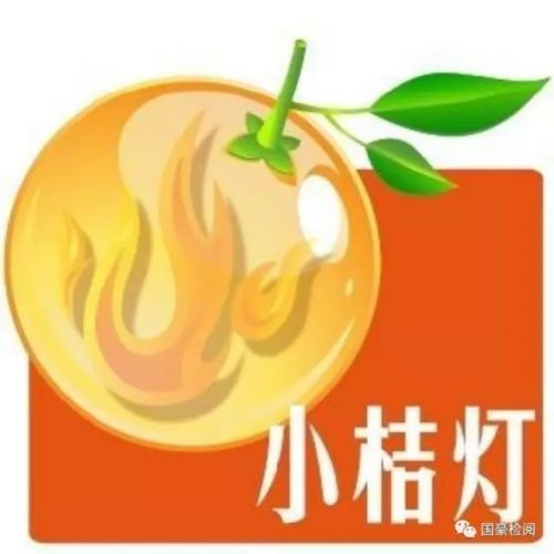 伴随体外诊断产业微光前行的小桔灯网