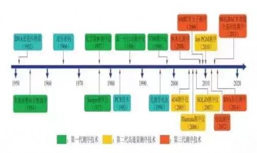 精准医疗的基石：基因测序行业分析报告