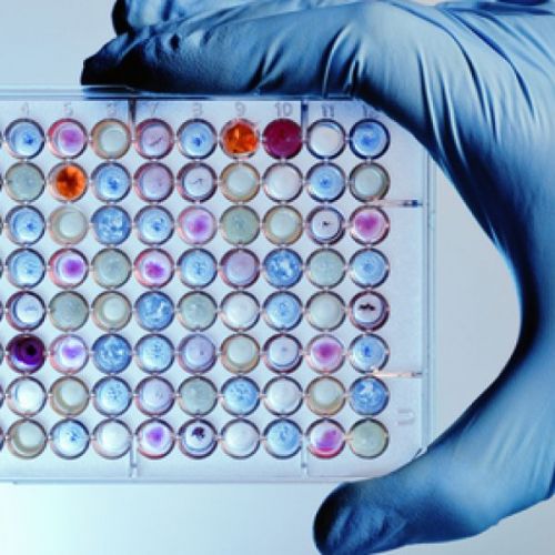 MSI：一个地位日益上升的Biomarker