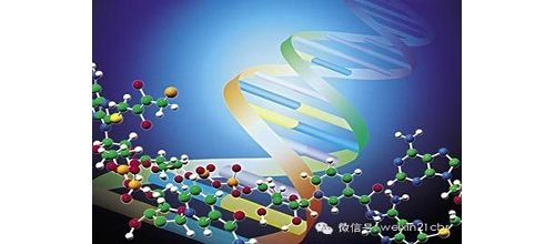 资本大门已开启，百亿级潜力的中国NGS市场，谁将下一个IPO？