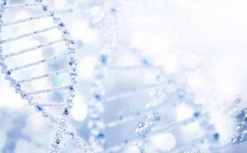 科学家发现新型前列腺癌生物标志物