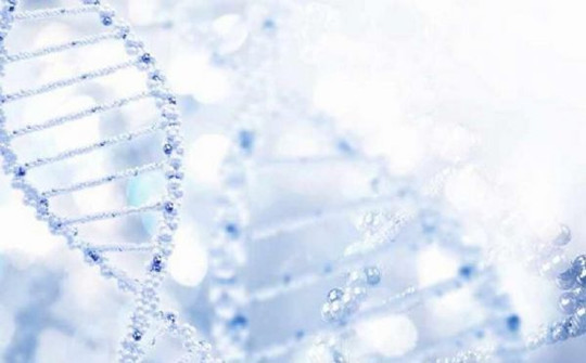 科学家发现新型前列腺癌生物标志物