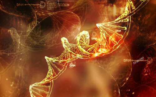 临床研究之路：NGS上下求索，Biomarker潮流所向