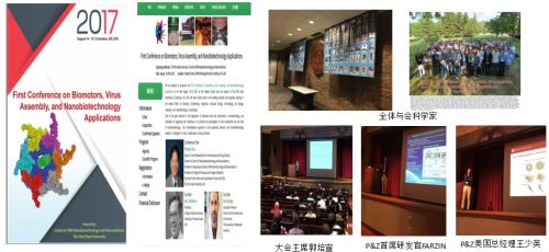 癌症检测将再添新军！深圳龙华区民企构建国际平台探讨生物纳米孔癌症检测技术应用