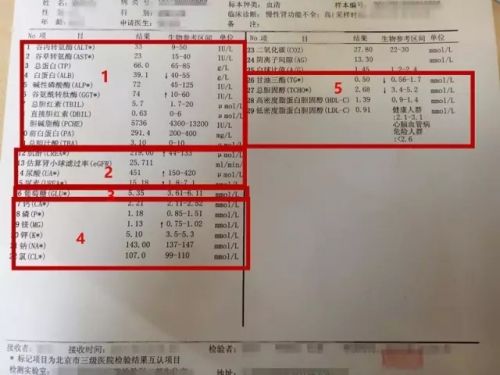 生化单怎么看？对照着化验来学习