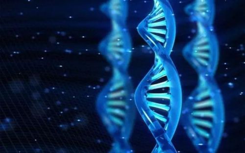如何选择一个合适的样本进行NGS检测？