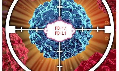 PD- 1 淘金路上或有冤魂