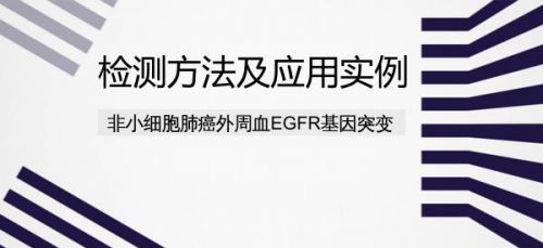 非小细胞肺癌外周血EGFR基因突变检测方法及应用实例