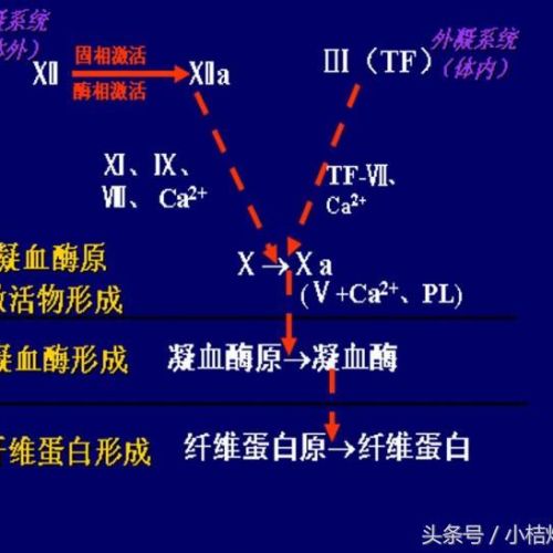 IVD知识文库系列-生化知识细说之血凝