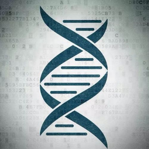 DNA就是遗传物质