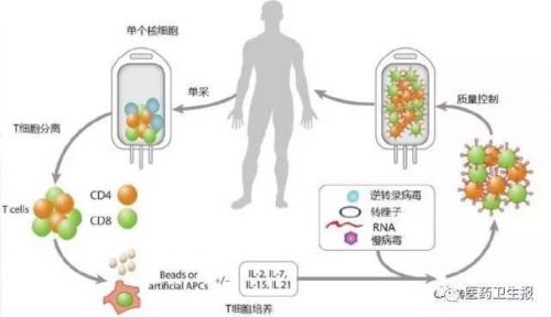 神奇的CAR-T细胞技术：肿瘤精准靶向治疗的新突破