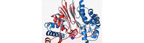 研究发现新方法可提前诊断乳腺癌
