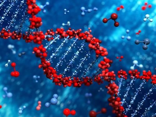 基因诊断公司 Myriad Genetics 再突破，引进预测癌症患病风险的新型 DNA 测试