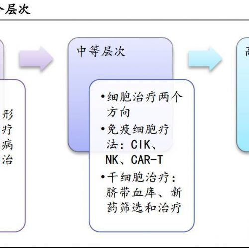 2016年精准医疗专题研究报告