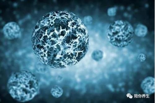 如何区分病毒性和细菌性感冒？耶鲁大学开发新型测试