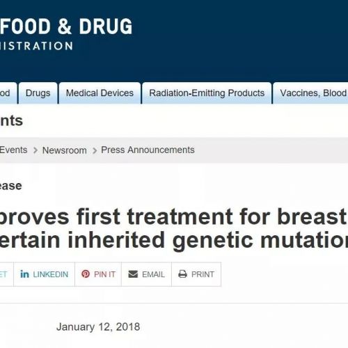 FDA批准首款针对特定遗传突变的乳腺癌个性化疗法，伴随诊断锦上添花