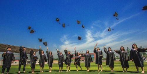复旦、交大、同济、华东师大2017届医学类毕业生情况报告