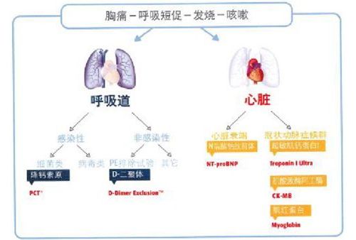 POCT国际征途，葵花宝典之心脏标志物篇