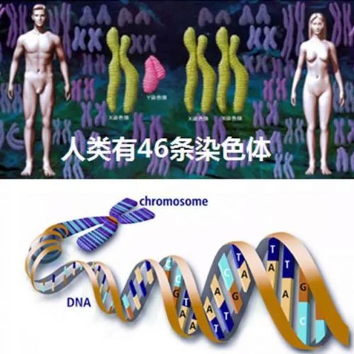 基因科技最前沿的29个科学问题