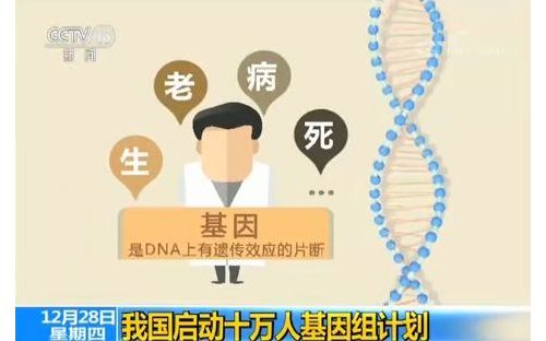 基因测序提速46倍 诺禾致源借阿里云绘制基因科学蓝图