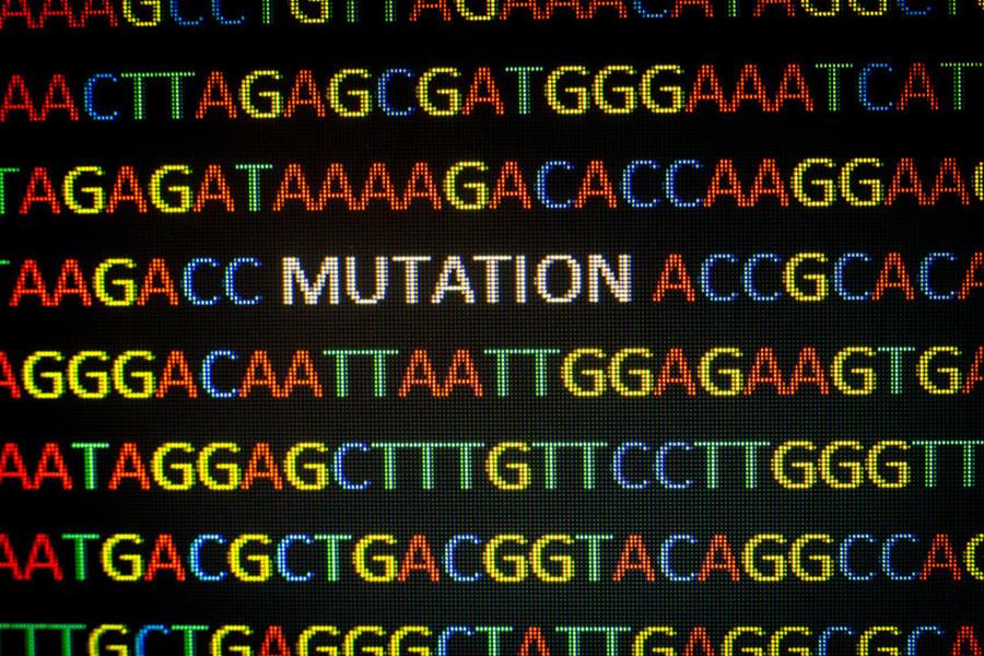 分子诊断,第三方医学诊断,分子诊断,独立医学实验室