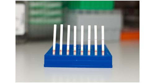 Science：重大突破！开发出基于CRISPR的一次性多重核酸检测平台