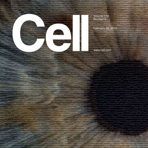 中国科学家研发的AI影像诊断系统首登顶级期刊，可诊断眼病和肺炎两大类疾病，准确性匹 ...