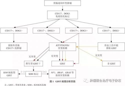 慢性胃炎及上皮性肿瘤胃黏膜活检病理诊断共识