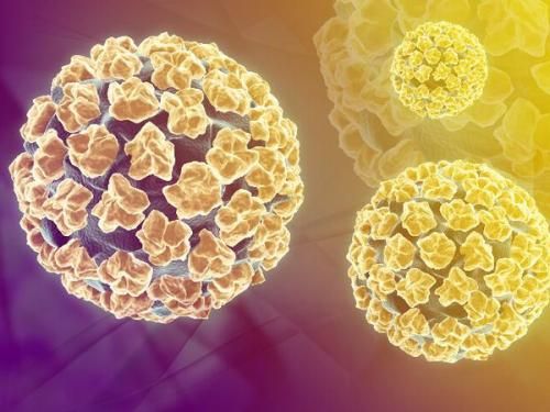 【临床经验】人乳头瘤病毒检测在临床应用中的误区
