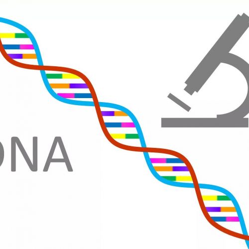 新突破！ctDNA 让预后监测成为可能