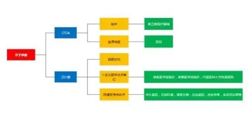 IVD新蓝海--分子诊断产业解析！