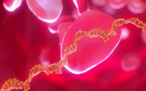 Nature子刊：ctDNA检测有助于预测药物对乳腺癌患者的有效性