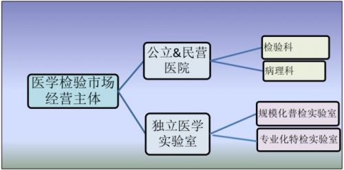 医学检验服务产业投资地图（上篇）