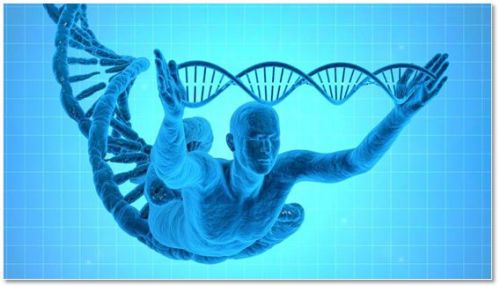 《Nature》头条！科学家喊你别喝酒！酒精损伤干细胞导至DNA突变，可能与代谢产物乙醛  ...