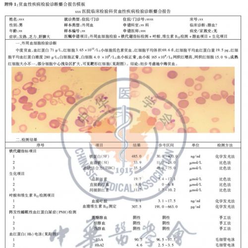 贫血性疾病检验诊断报告模式专家共识
