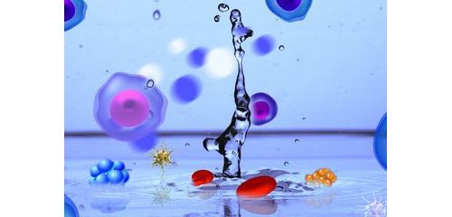 2018国家科学技术奖励候选项目公布，医学卫生类有哪些？