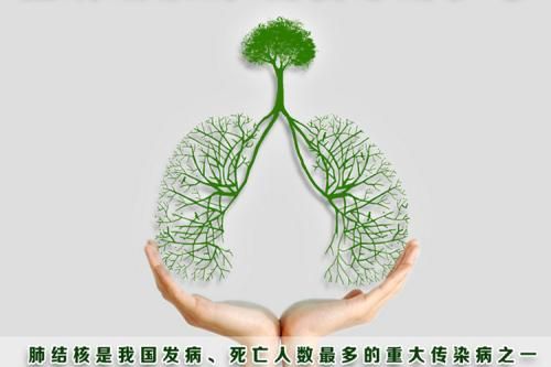 世界结核病日：NEJM发表升级版结核杆菌快速检测技术
