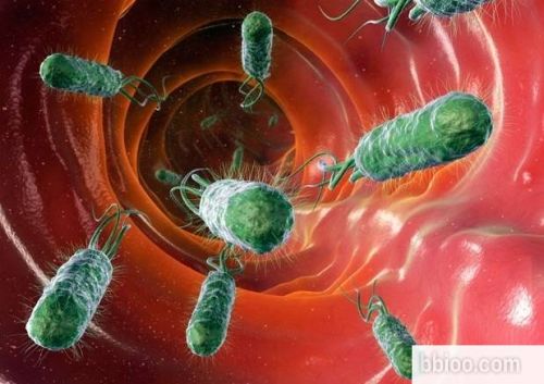 【听课笔记】细菌性腹泻的临床实验室诊断操作规范