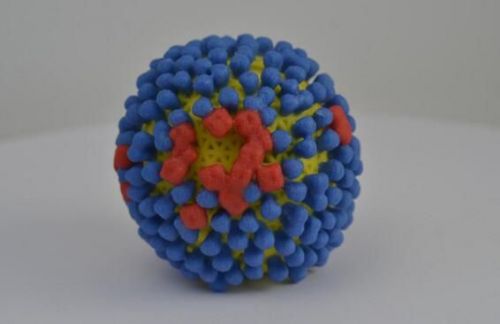 Cell：科学家有望开发出适合多个年龄段人群 能有效抵御多种流感病毒感染的通用型流感 ...
