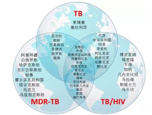 袭卷CMEF的基因检测真的那么火吗？金域、贝瑞、华大基因用事实告诉你！